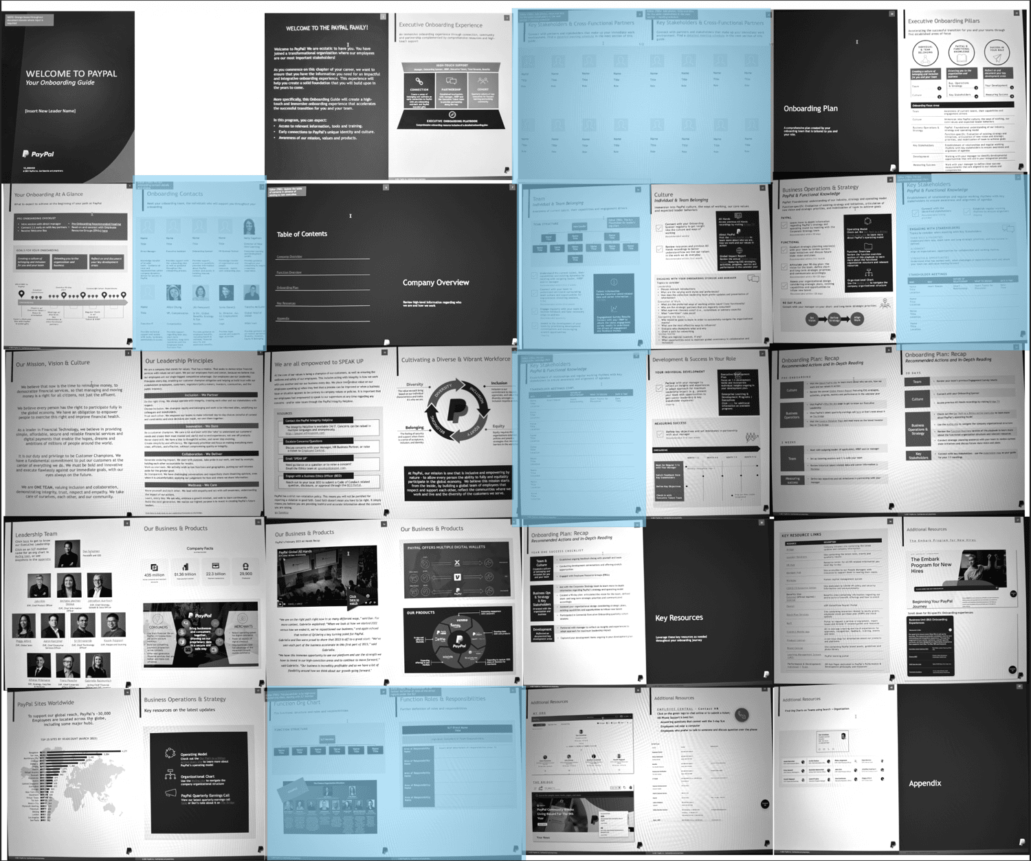 Same 40-page layout with 33 pages dimmed to grayscale; only the 7 dynamic pages remain highlighted in color